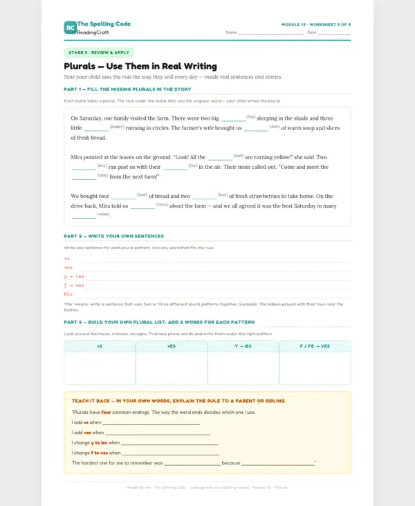 Stage 5: Use Them in Real Writing